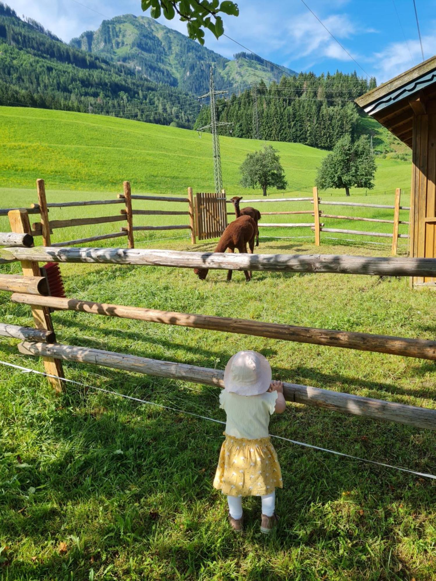 Ferienparadies Taxen Санкт-Файт  Экстерьер фото