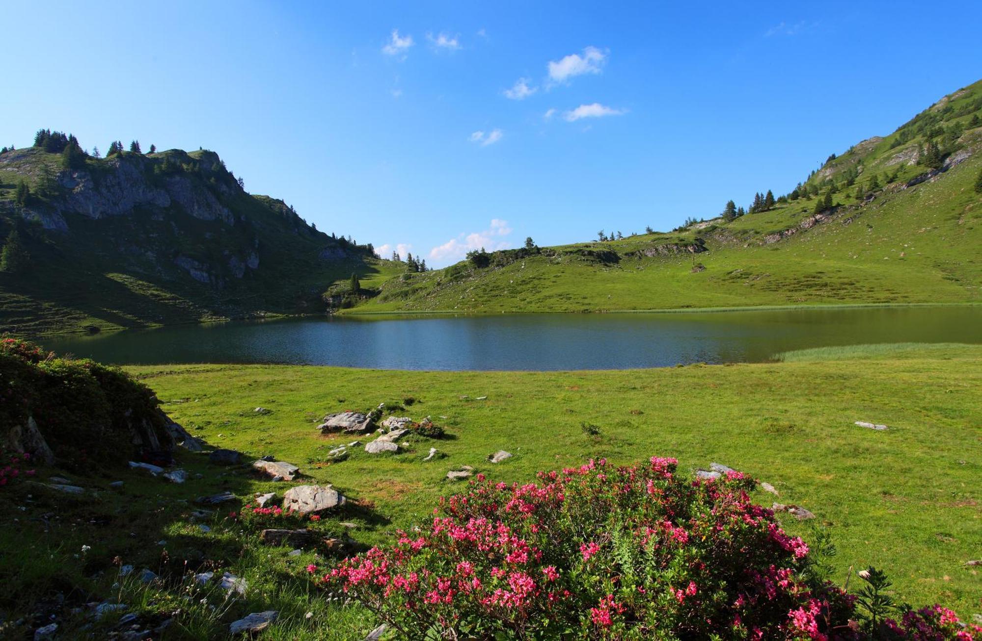 Ferienparadies Taxen Санкт-Файт  Экстерьер фото