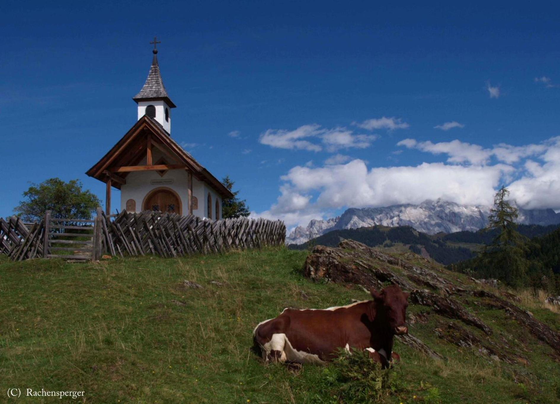 Ferienparadies Taxen Санкт-Файт  Экстерьер фото